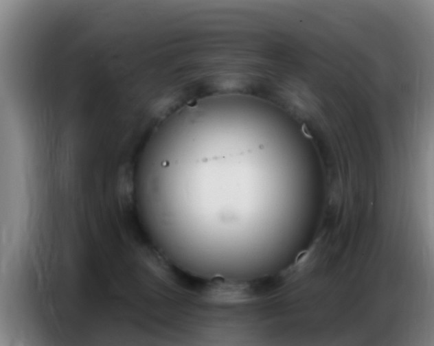 X0000086800179200704201910