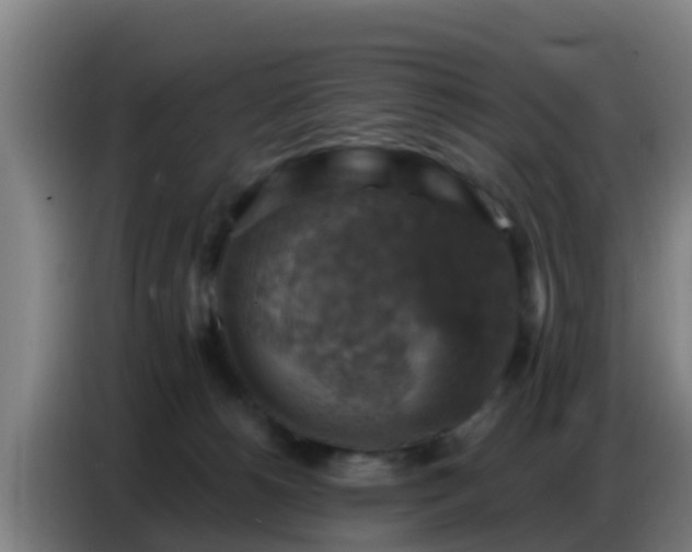 X0000086800180200704201910