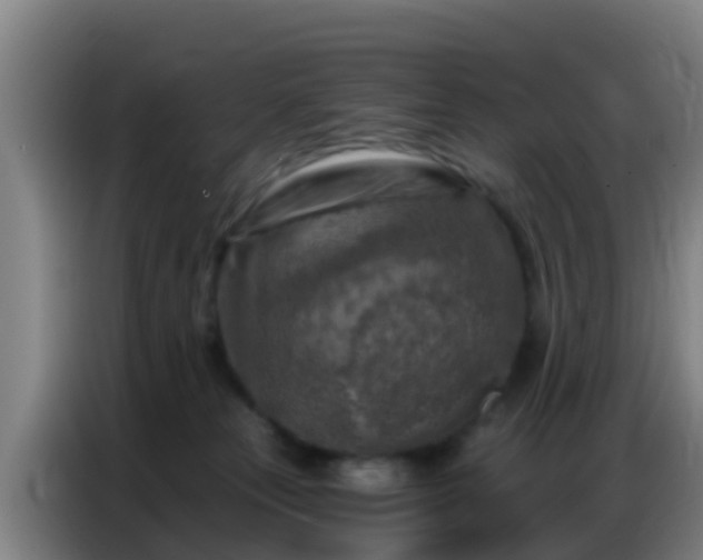 X0000086800181200704201910