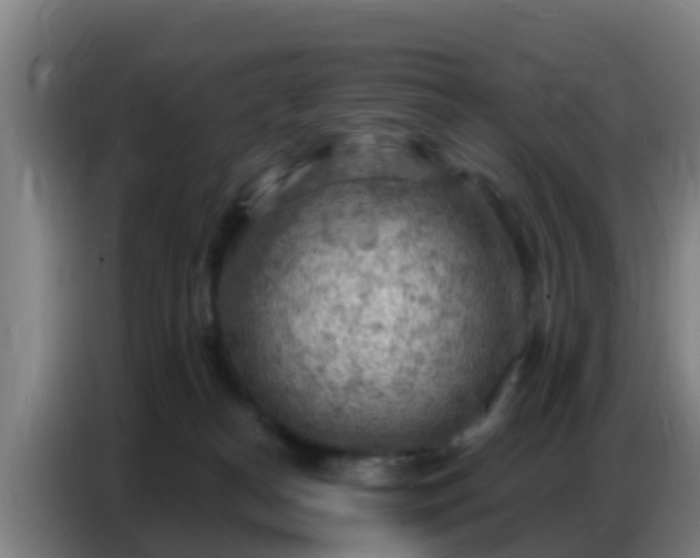 X0000086800182200704201910