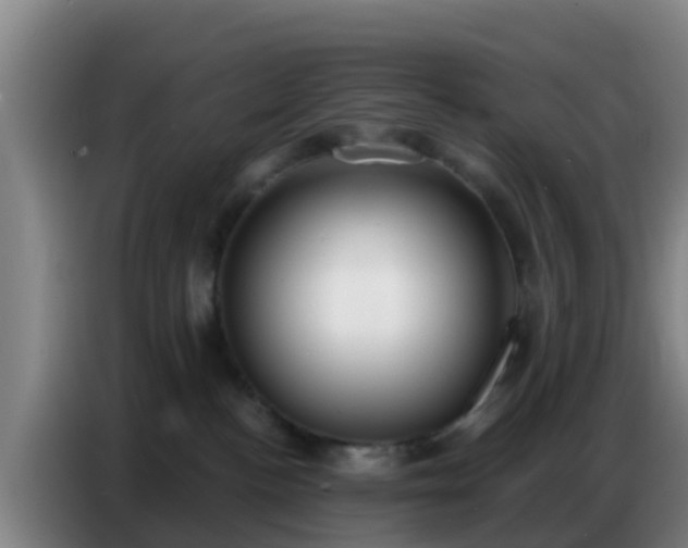 X0000086800188200704201910