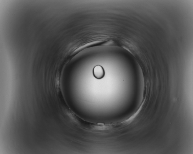X0000086800190200704201911