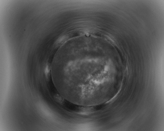 X0000086800191200704201911