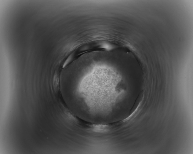 X0000086800192200704201911