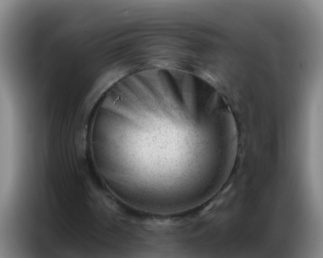 X0000086800194200704201910