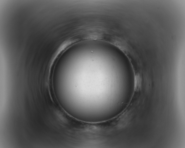 X0000086800195200704201910