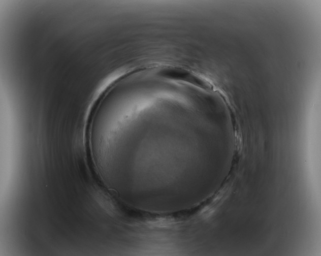 X0000086800196200704201910