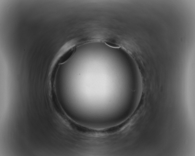 X0000086800198200704201910