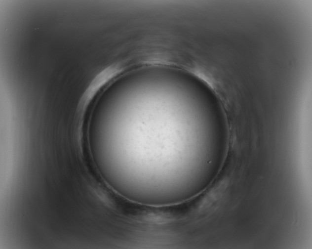 X0000086800199200704201910