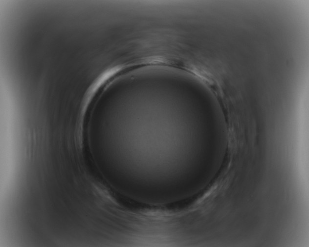 X0000086800200200704201910