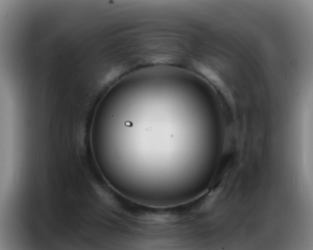 X0000086800201200704201910