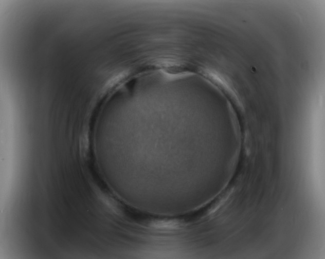 X0000086800202200704201910