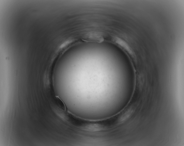 X0000086800203200704201910