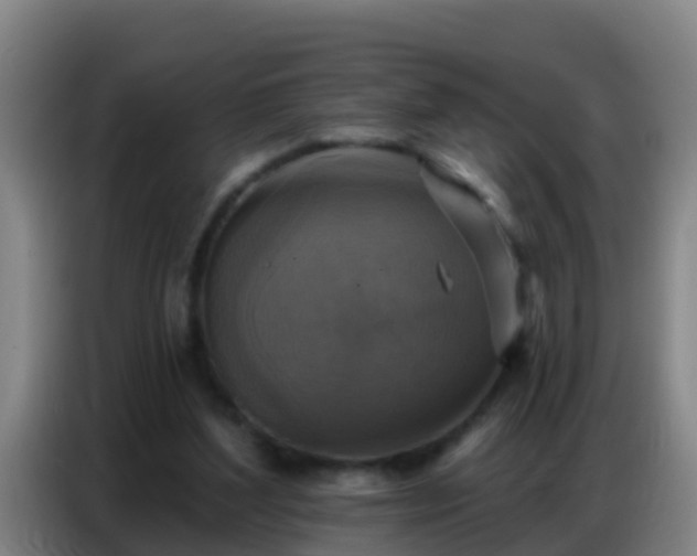X0000086800204200704201910