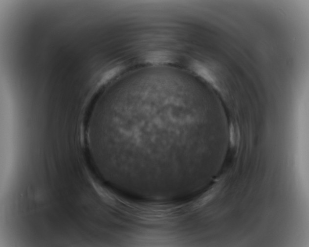 X0000086800205200704201910