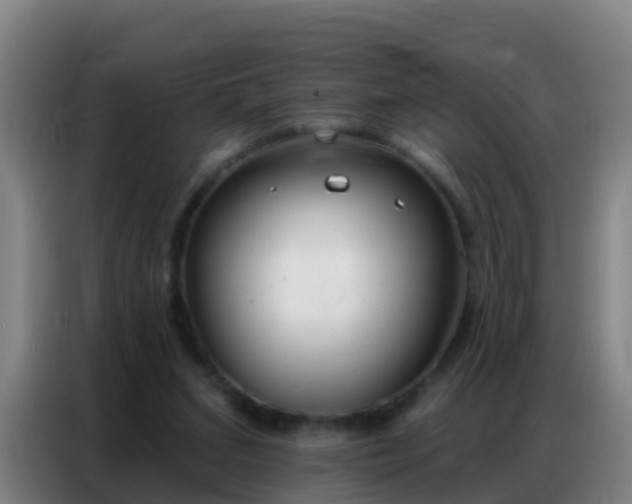 X0000086800207200704201910