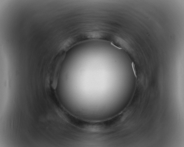 X0000086800209200704201910