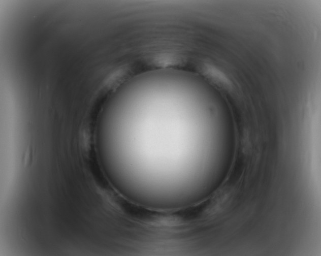 X0000086800210200704201910