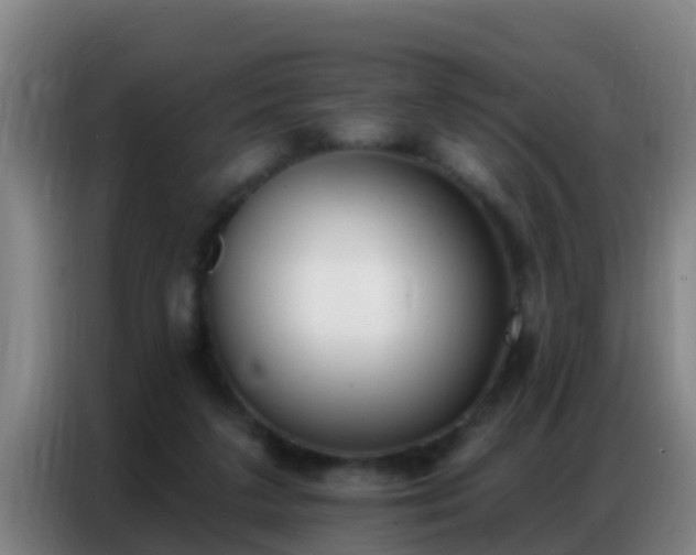 X0000086800211200704201910