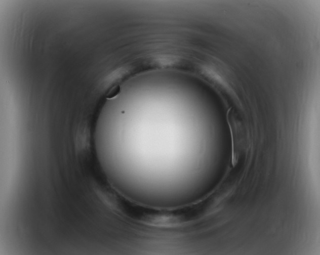 X0000086800212200704201910