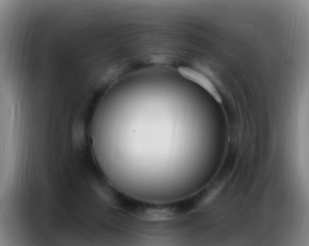 X0000086800213200704201910
