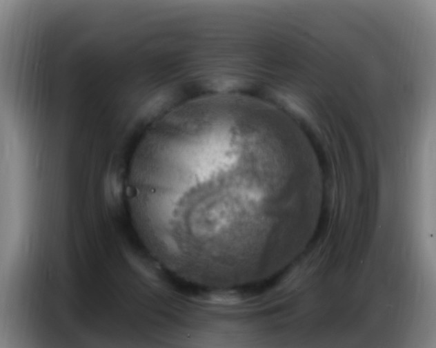 X0000086800214200704201910