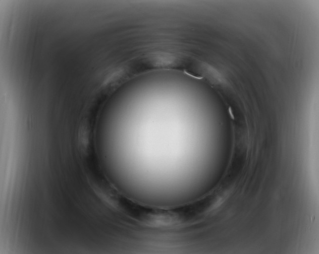 X0000086800215200704201910