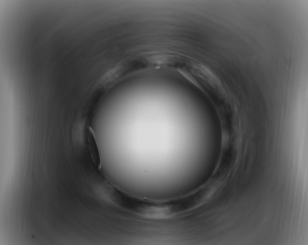 X0000086800217200704201910