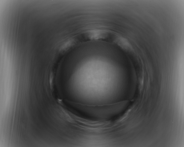 X0000086800219200704201910