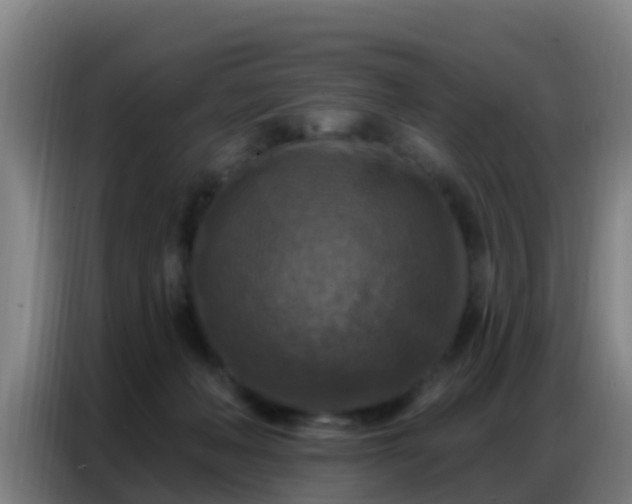 X0000086800222200704201910