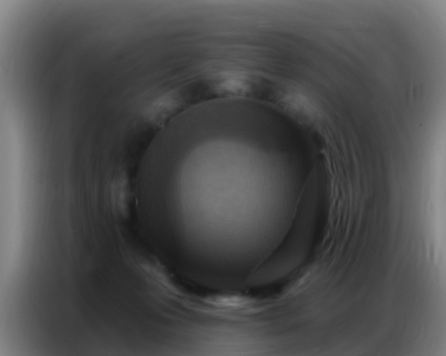 X0000086800223200704201910