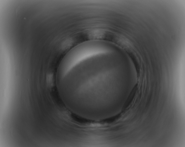X0000086800224200704201910