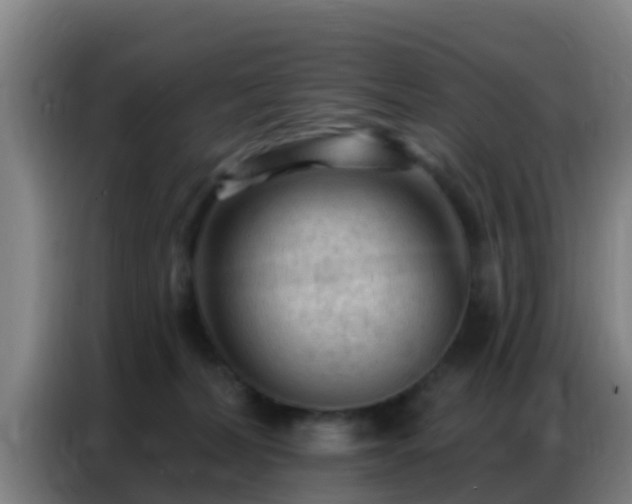 X0000086800228200704201909