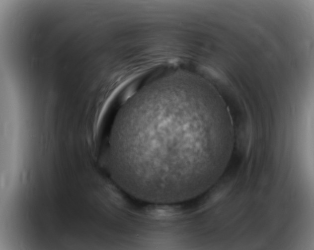 X0000086800229200704201909