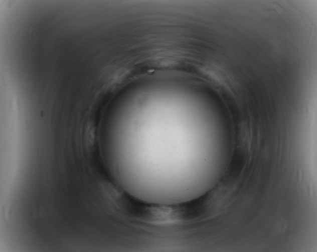 X0000086800230200704201909