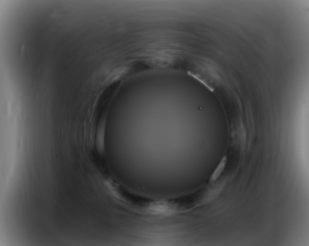 X0000086800231200704201909