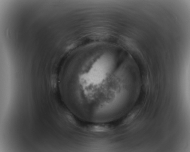X0000086800232200704201909