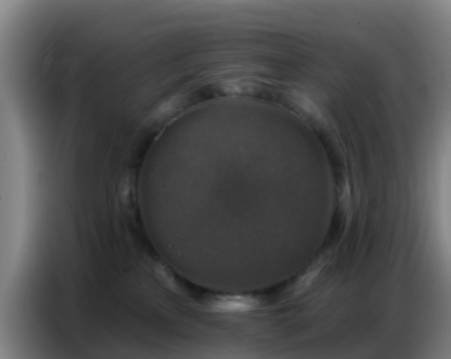X0000086800233200704201909