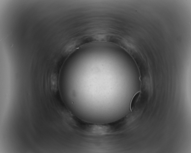 X0000086800234200704201909