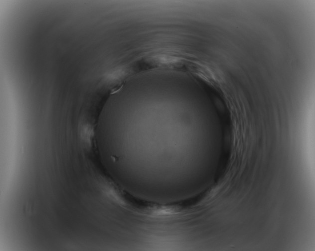 X0000086800235200704201909