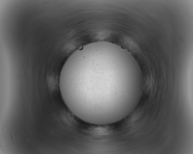 X0000086800236200704201909