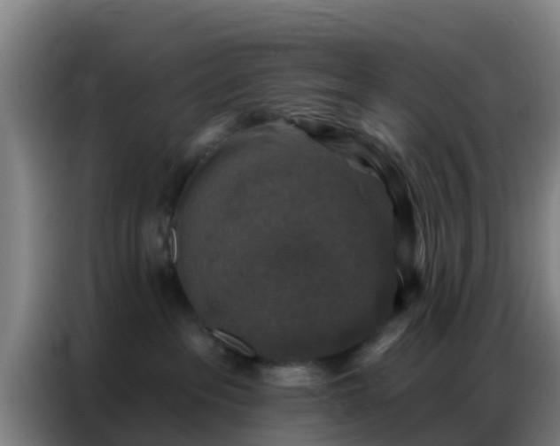 X0000086800237200704201909
