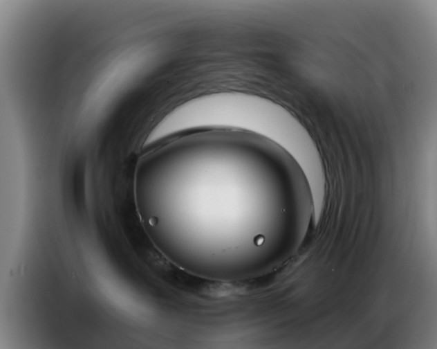 X0000086800239200704201909