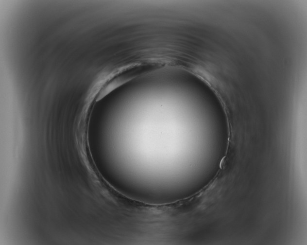 X0000086800241200704201909