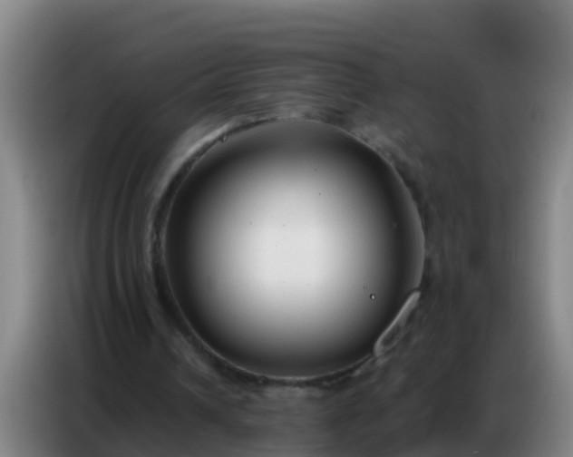X0000086800242200704201909