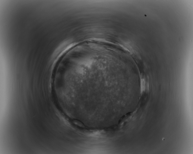 X0000086800243200704201909