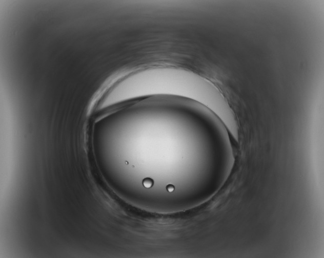 X0000086800244200704201909