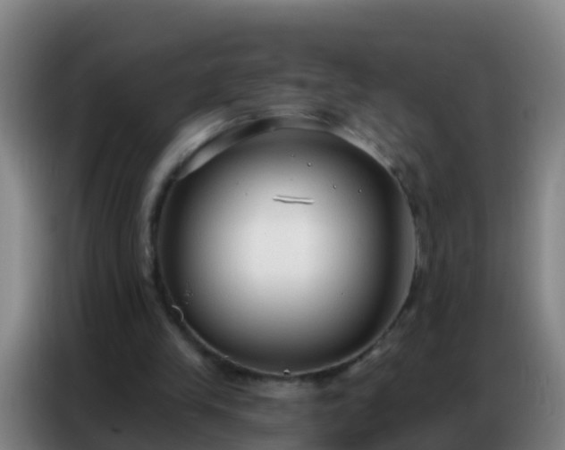 X0000086800245200704201909
