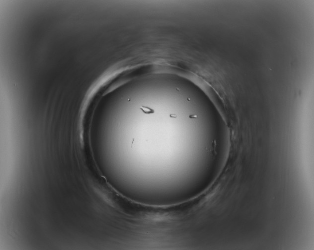 X0000086800246200704201909