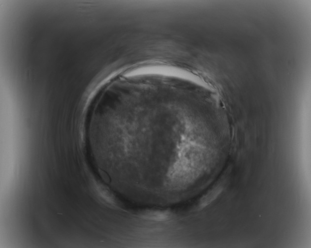 X0000086800247200704201909